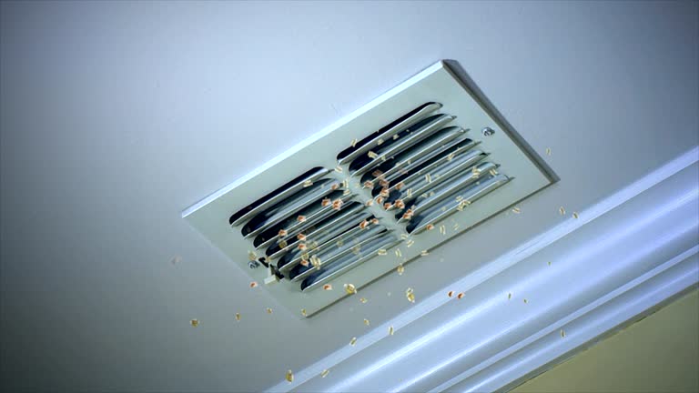 , HI Airduct Cleaning Company