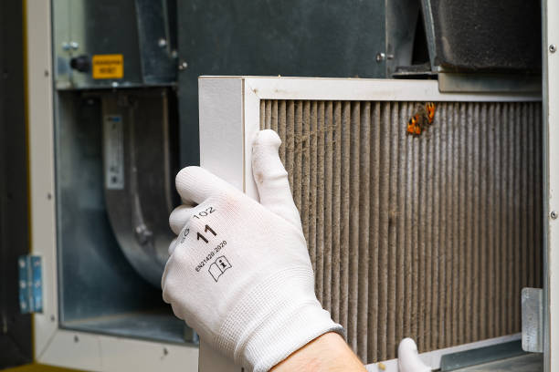 Best Affordable Air Duct Cleaning  in Discovery Harbour, HI