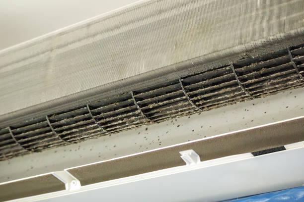 Best HVAC Air Duct Cleaning  in Discovery Harbour, HI