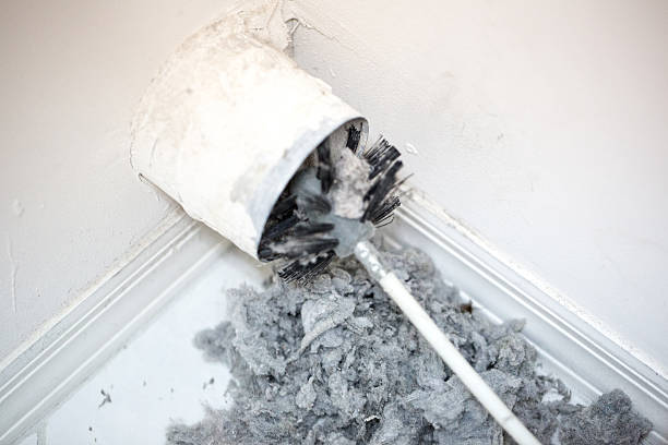 Best Ductwork Cleaning Services  in Discovery Harbour, HI